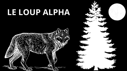 Le Loup Alpha : Guide Charismatique et Pilier de la Meute