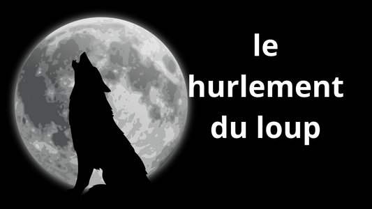 Pourquoi les loups hurlent-ils ? Décodage d'un langage mystérieux