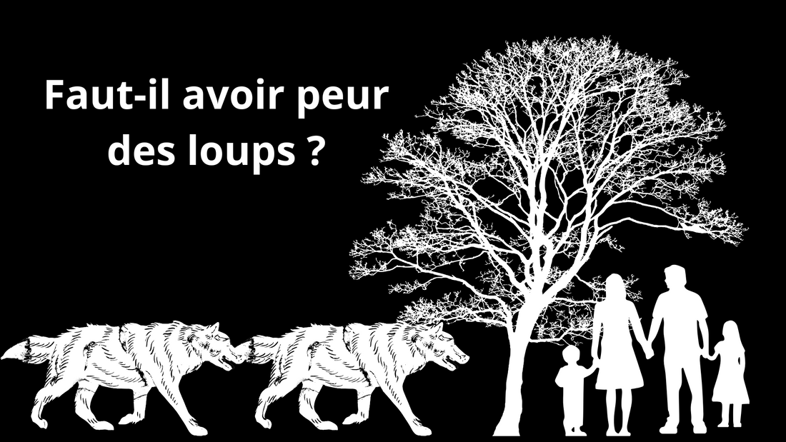 Faut-il avoir peur des loups ?